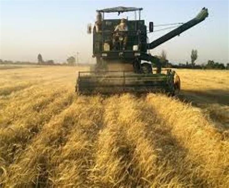 آشنایی با ماشینهای فرآوری بذر گندم و جو