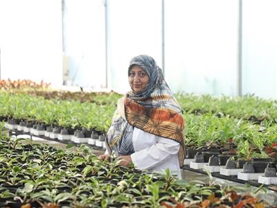 Setting up a flower and ornamental plant production site with tissue culture technology and hydroponic system