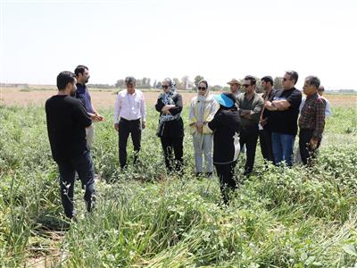 Holding a specialized training workshop on "Seed Production Technology"